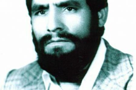 محمود میرافضلی