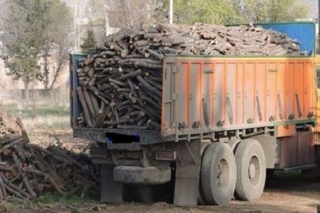 ۱۷ تن چوب قاچاق در بافت کشف شد -اقطاع خبر