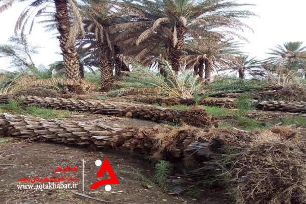 خسارت های سنگین باد و باران در فاریاب