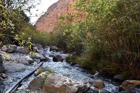 افسونگری طبیعت سکنج در دل تابستان