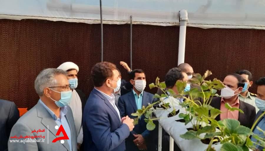 افتتاح و بهره برداری از یک هکتار گلخانه مدرن هیدروپونیک و مجهز به تکنولوژیهای پیشرفته در عنبرآباد