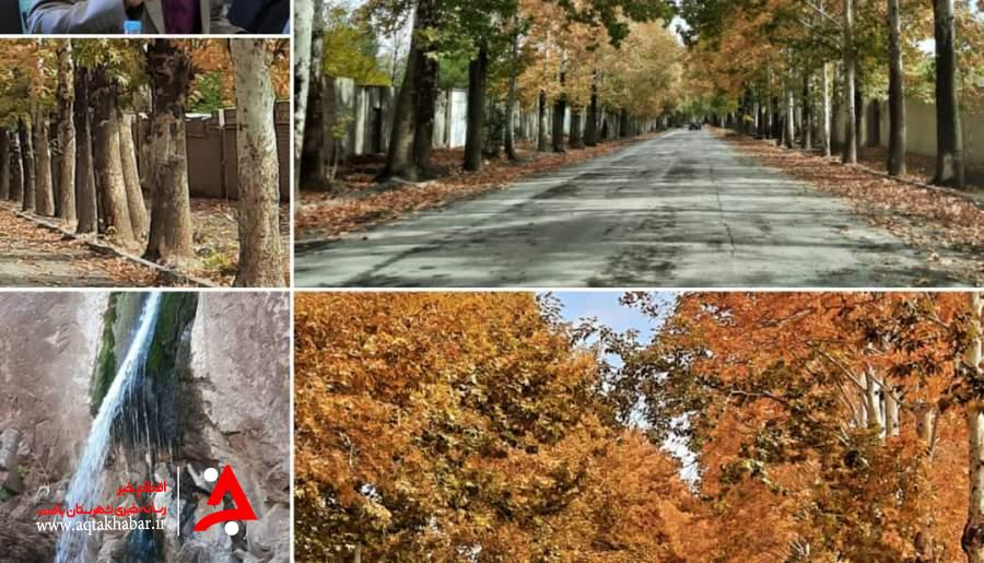 برگ های پاییزی در پنج نقطه شهر تاریخی راین جمع آوری نمی شود