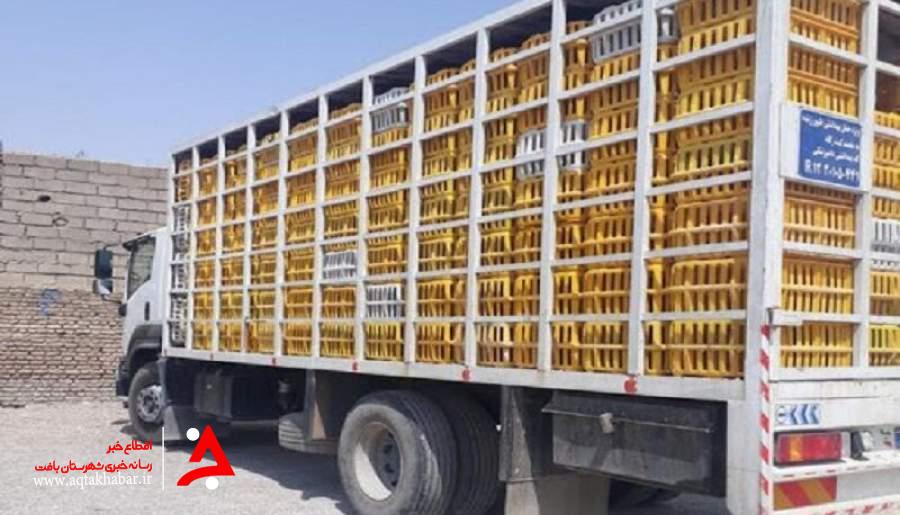 قاچاق ۳ هزار قطعه مرغ زنده در ریگان متوقف شد