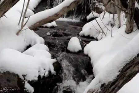 بارش زیبای برف در راین کرمان