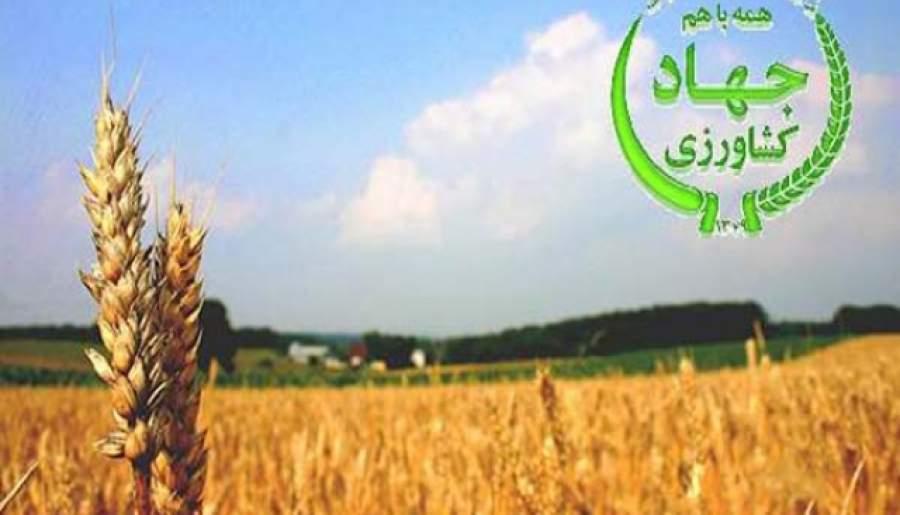 بهره برداری۱۱۵ طرح کشاورزی و دامپروری استان کرمان در ایام الله دهه فجر