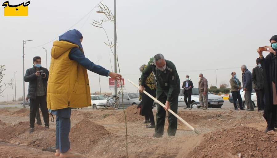 غرس بیش از 300 اصله درخت به نام و یاد شهداء شهرستان زرند