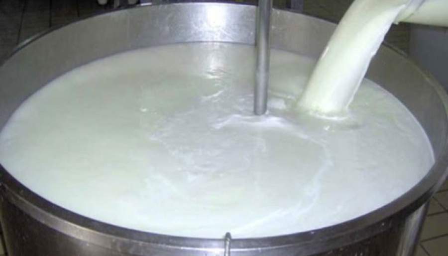 خطر بروز تب مالت و سل با مصرف شیر خام