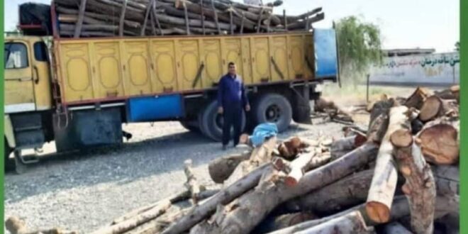 ۱۰تُن چوب بدون مجوز حمل در شهرستان رودبارجنوب کشف شد