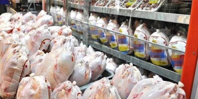 قیمت مرغ درحال حاضر واقعی نیست اما کمبود هم نداریم/ هزینه حمل و نقل بر قیمت مرغ وارداتی تاثیر گذار است