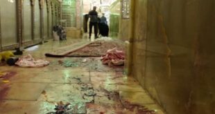 شهادت کودک سیرجانی در حادثه تروریستی حرم مطهر حضرت شاهچراغ