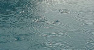 ثبت بارش ده میلیمتری رحمت الهی در سیرجان