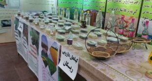 نمایش ظرفیت‌هاو پتانسیل ریگان در اصفهان