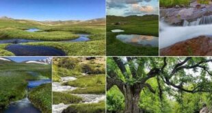 پیش‌بینی هفت منطقه گردشگری برای تورهای یک‌روزه رابُرگردی