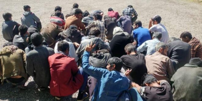 بازداشت ۵۶ معتاد متجاهر در زرند