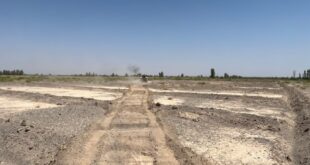 ۵۰ هزار مترمربع از اراضی ملی شهرستان رفسنجان رفع تصرف شد