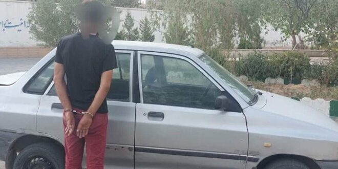 دستگیری سارق با ۱۰فقره سرقت در شهرستان انار