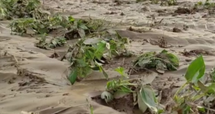 خسارت ۱۸۲ میلیارد تومانی طوفان و تگرگ به زیر ساخت‌های شهرستان کهنوج