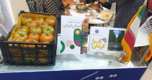 روایتی از حضور اتاق کرمان در ایران اکسپو
