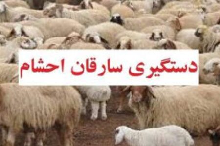 دستگیری سارقان احشام کم‌تر از ۲۴ ساعت