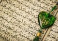 آیات ۱۱ تا ۲۰ سوره «یس»