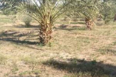 ورود عدلیه جهت حل مسائل روستای «چاه‌ملک»