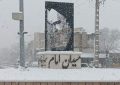 بردسیر‌ی‌ها میزبان دردانه‌های برکت الهی شدند