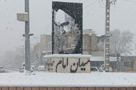 بردسیر‌ی‌ها میزبان دردانه‌های برکت الهی شدند