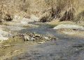 رودخانه، قلب تپنده روستای سَرنی