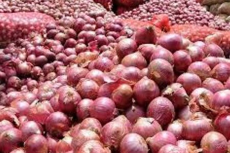 خرید تضمینی پیاز کشاورزان جنوب کرمان از فردا