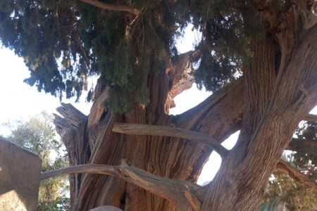 صوغان، تاریخ غنی و میراث طبیعی ایرانیان کهن