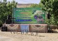 برگزاری اولین جشنواره توت در روستای طاشک راور