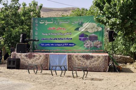برگزاری اولین جشنواره توت در روستای طاشک راور