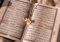 آیات نورانی ۲۱ تا ۳۶ سوره «المطففین»