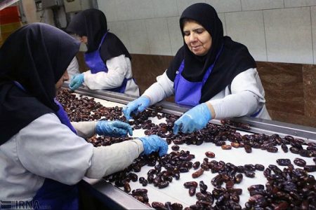 جان بخشیدن به ۷۰ محصول از یک ایده