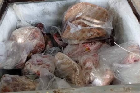 کشف لاشه حیوانات وحشی در شهر «زیارتعلی»