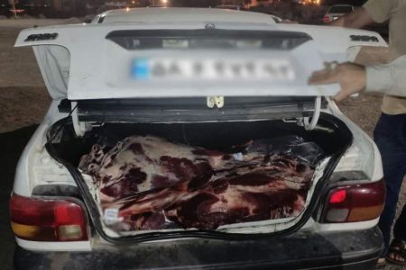 پایان سفر شبانه گوشتهای غیرمجاز در صندوق عقب پایان سفر شبانه گوشتهای غیرمجاز در صندوق عقب