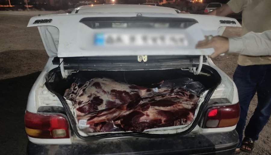 پایان سفر شبانه گوشتهای غیرمجاز در صندوق عقب