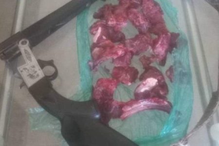 دستگیری شکارچی غیرمجاز در رودبار جنوب