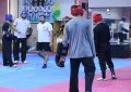 دعوت مجدد تکواندو کار کرمانی به اردوی تیم ملی