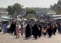 لحظات ناب عشق در جوار مرقد ابوالقاسم