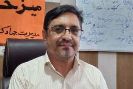 ۶۰ میلیون کیلو سربرگ نخل بلااستفاده است