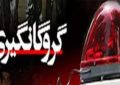 رهایی پسر جوان قلعه‌گنجی از چنگال آدم‌ربایان