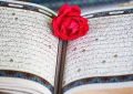 آیات نورانی ۱ تا ۱۰ سوره «نساء»