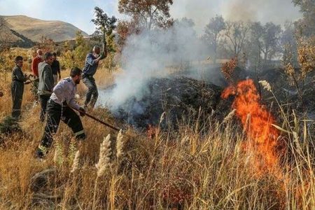 شعله ها، مراتع دلفارد جیرفت را خاکستر می کنند؛ نبود ایستگاه آتش نشانی – خبرگزاری مهر | اخبار ایران و جهان -اقطاع خبر