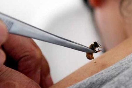 گزش زنبور، بالگرد اورژانس را به پرواز درآورد