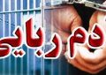 رهایی مرد ۶۰ ساله از چنگ آدم‌ربایان