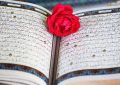 آیات نورانی ۶۱ تا ۷۰ سوره «مائده»
