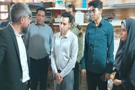 بازدید گشت امنیت غذایی از واحدهای صنفی ریگان