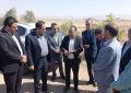 آغاز تثبیت شن‌های روان در محور زرند – سیریز