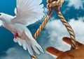 بخشش قاتل پای چوبه دار در ریگان